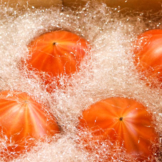 2026年3月発送：予約商品】特選 大島トマト | 大島トマト農園